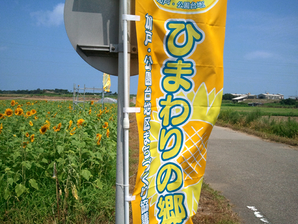 2013-08-05-10.46.38.jpg