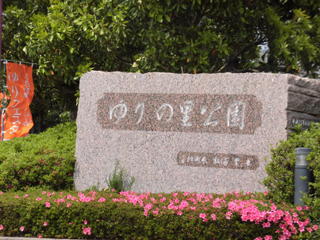 CIMG0170.jpg