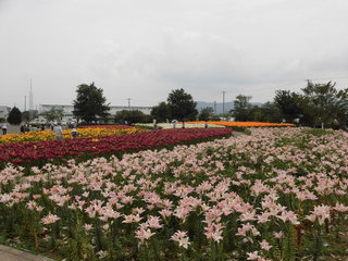 CIMG0242.JPG