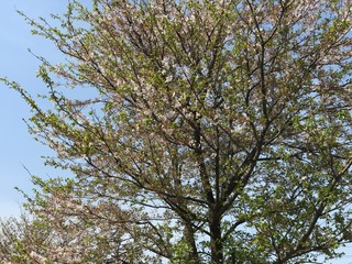 IMG_2315.JPG